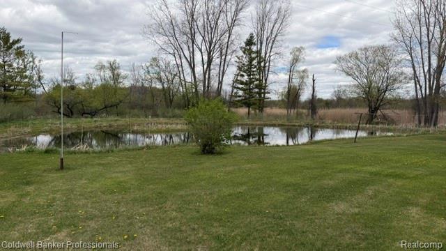 3595 Hutchinson Road, North Branch, MI 48461 — Photo 8