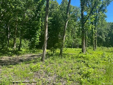44735 Dunn Road, Belleville, MI 48111 — Photo 4