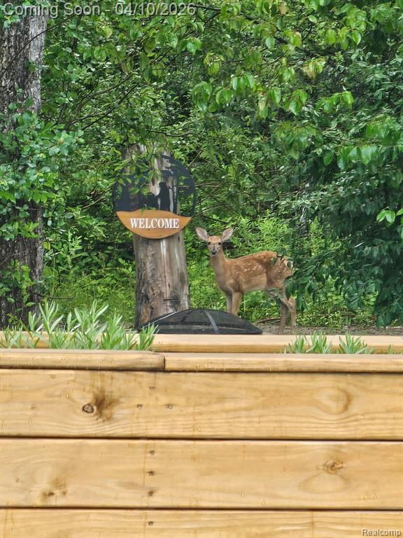 70336 Welding Road, Richmond, MI 48062 — Photo 66