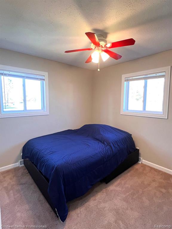631 Madison Street N, Perry, MI 48872 — Photo 14