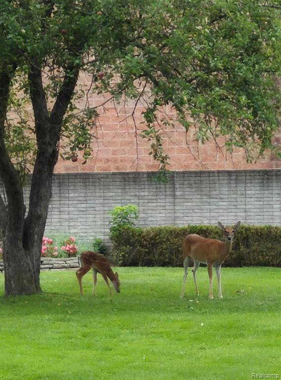 14962 Beatrice Street, Livonia, MI, 48154