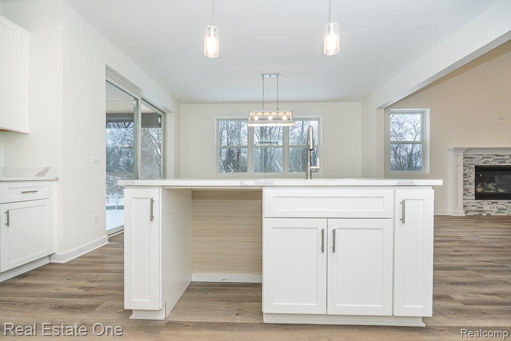 225 E Predmore Road, Oakland, MI — Photo 24