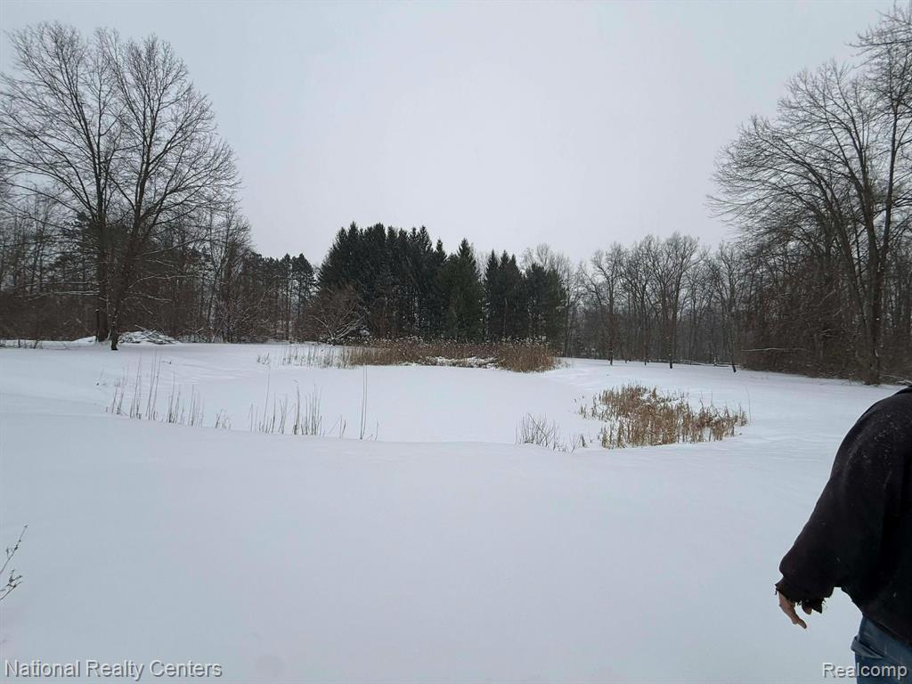 27125 Delos Road, New Boston, MI 48164 — Photo 19