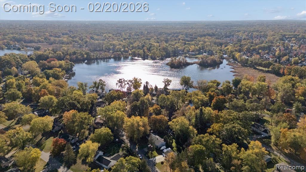 541 Crystalia Street, Commerce Twp, MI 48382 — Photo 52