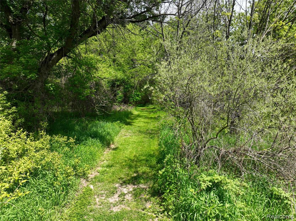 0 Gray Road, Lapeer, MI 48446 — Photo 4