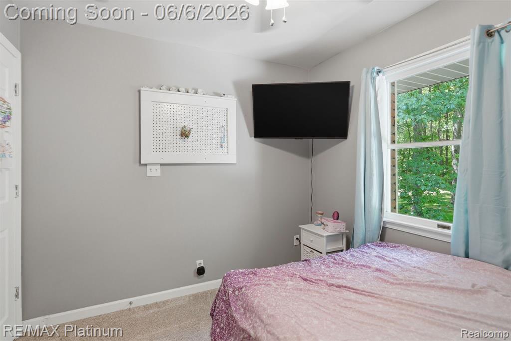 1539 Clark Lake Road, Brighton, MI 48114 — Photo 10