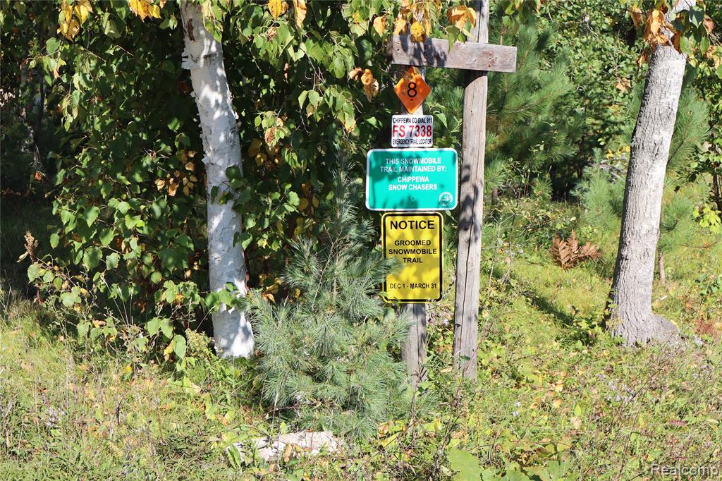 Lot D W Pendills Lake Road, Brimley, MI 49715 — Photo 57