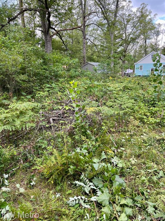 6629 S Tampa, Idlewild, MI 49642 — Photo 17