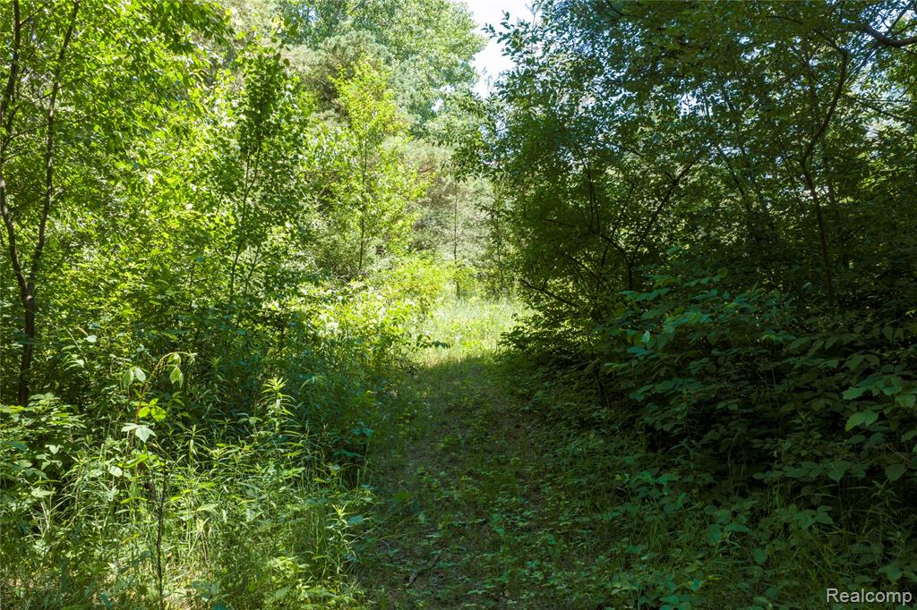 Parcel B Dodge Rd, Cass City, MI 48726 — Photo 14
