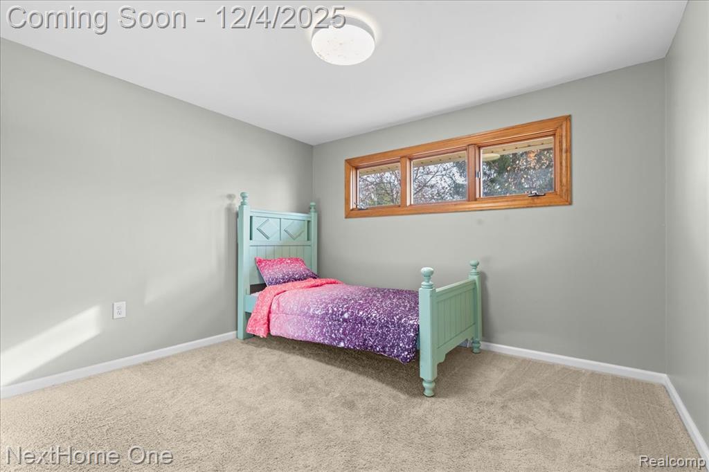60658 Sue Street, Lyon, MI 48178 — Photo 10