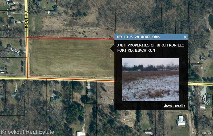 VL Fort Road, Birch Run, MI 48415 — Photo 4