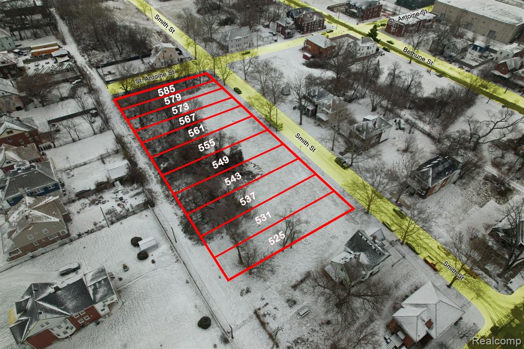 567 Smith Street, Detroit, MI 48202 — Photo 3