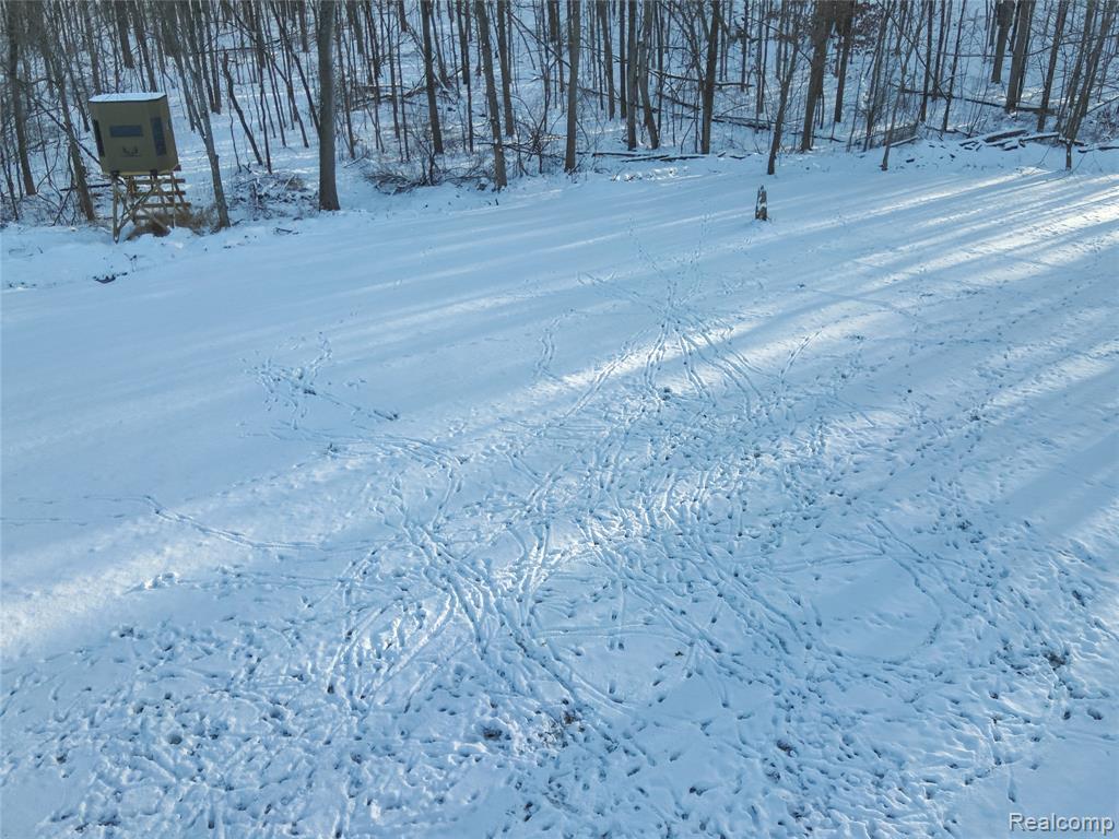 v/l W Us-12 Highway, Manchester, MI 48158 — Photo 7