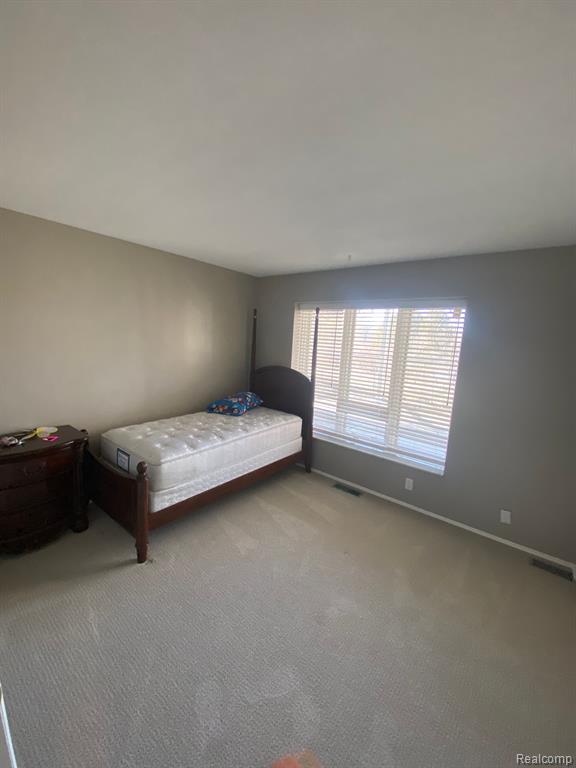 6730 BORDMAN Road, Bruce, MI 48065 — Photo 29