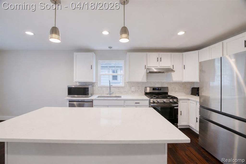 23092 Berdeno Avenue, Hazel Park, MI 48030 — Photo 9