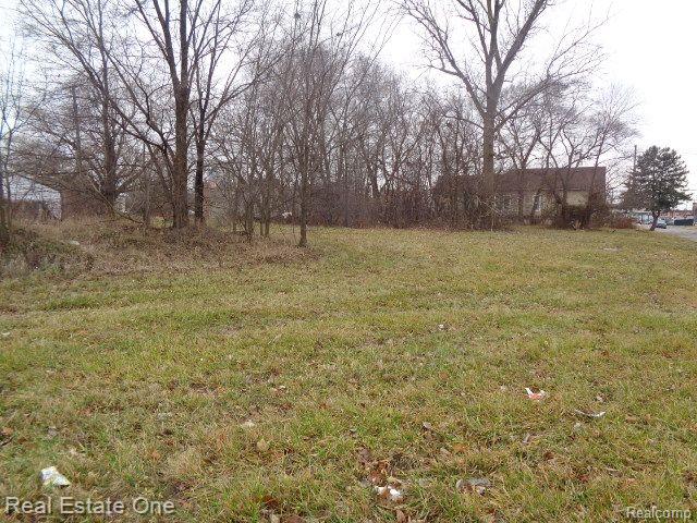2706 HENDRICKS Street, Detroit, MI 48207 — Photo 10