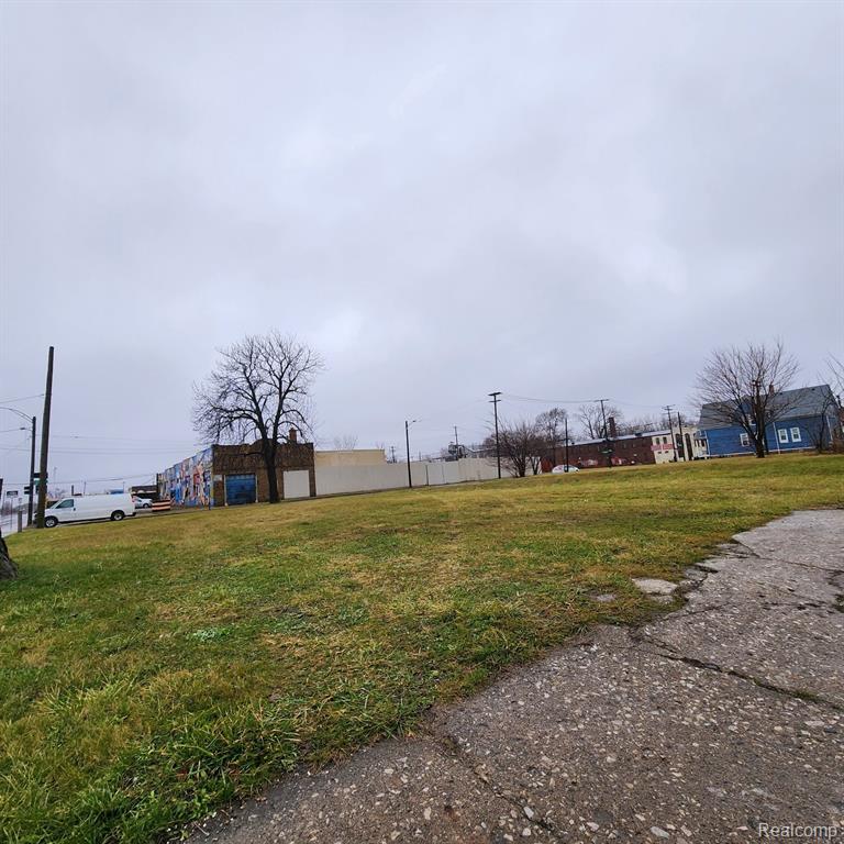 3604 SAINT AUBIN Street, Detroit, MI 48207 — Photo 5