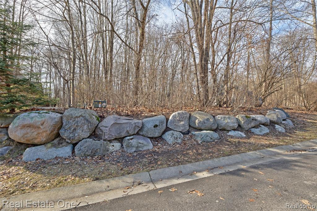 9889 Kingston Ridge, Clarkston, MI 48348 — Photo 29