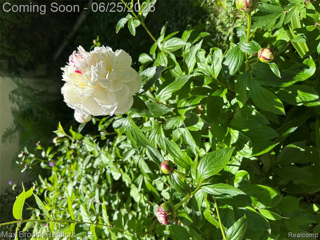 1432 E Park Place, Ann Arbor, MI 48104 — Photo 45