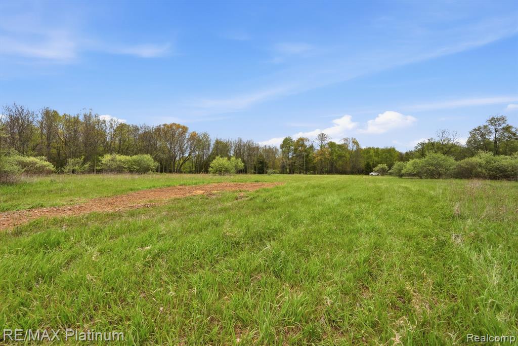 0 Hannah Jane Drive, Fowlerville, MI 48836 — Photo 2