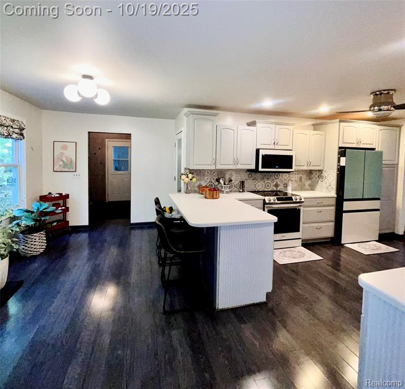 8259 Roosevelt Avenue, Mount Morris, MI 48458 — Photo 13