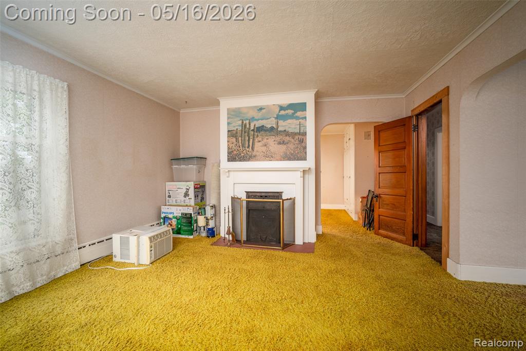 207 N Pine River Street, Ithaca, MI 48847 — Photo 21