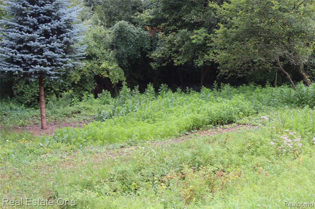 Rolling wooded lot on the over looks the golf course