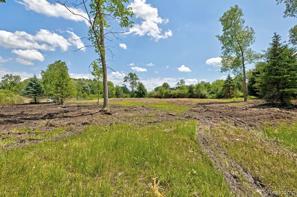 Vacant Land Brandt Road, Ortonville, MI 48462 — Photo 30