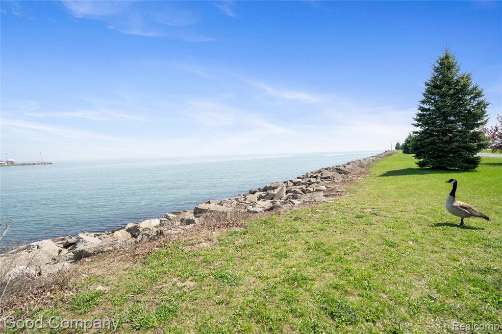 19915 Shady Lane Avenue, Saint Clair Shores, MI 48080 — Photo 23
