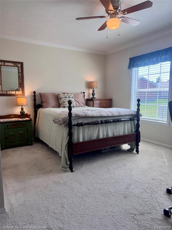 255 Bonita Court, Lapeer, MI 48446 — Photo 16