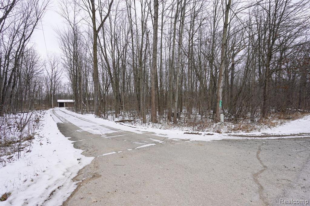 5266 ARGENTINE Road, Howell, MI 48855 — Photo 67