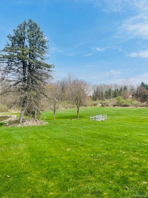 71423 E Pond Creek Drive, Bruce, MI 48065 — Photo 3