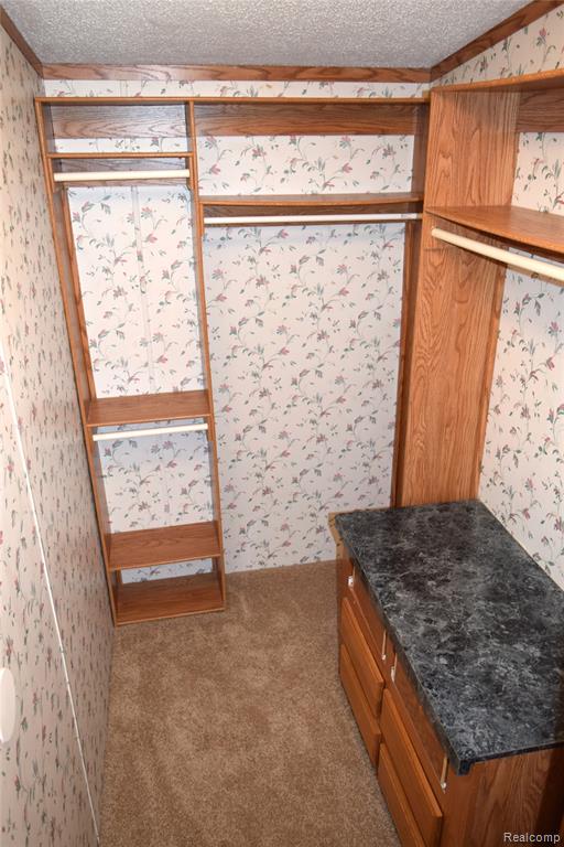 443 Pond View Drive, Morrice, MI 48857 — Photo 27