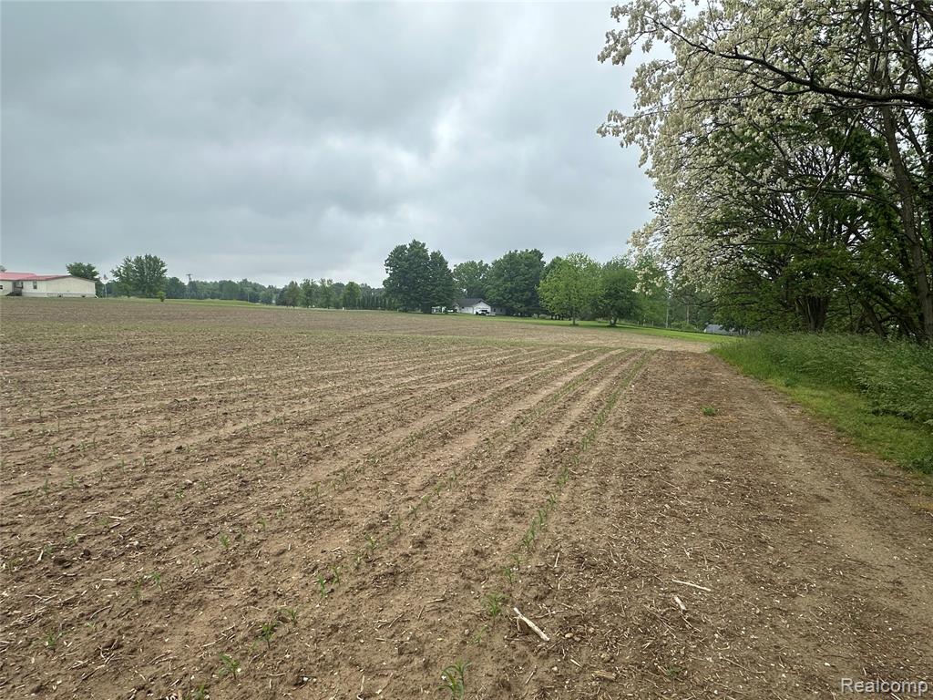 VL Mertz Road, Mayville Vlg, MI 48744 — Photo 24