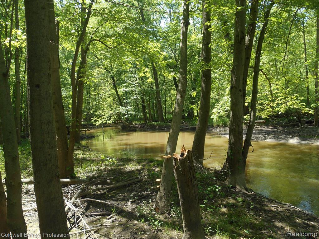 1651 CASTLE Road, North Branch, MI 48461 — Photo 25
