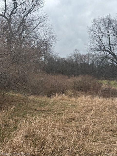 Lot 7 Rosy Drive, Leonard, MI 48367 — Photo 4