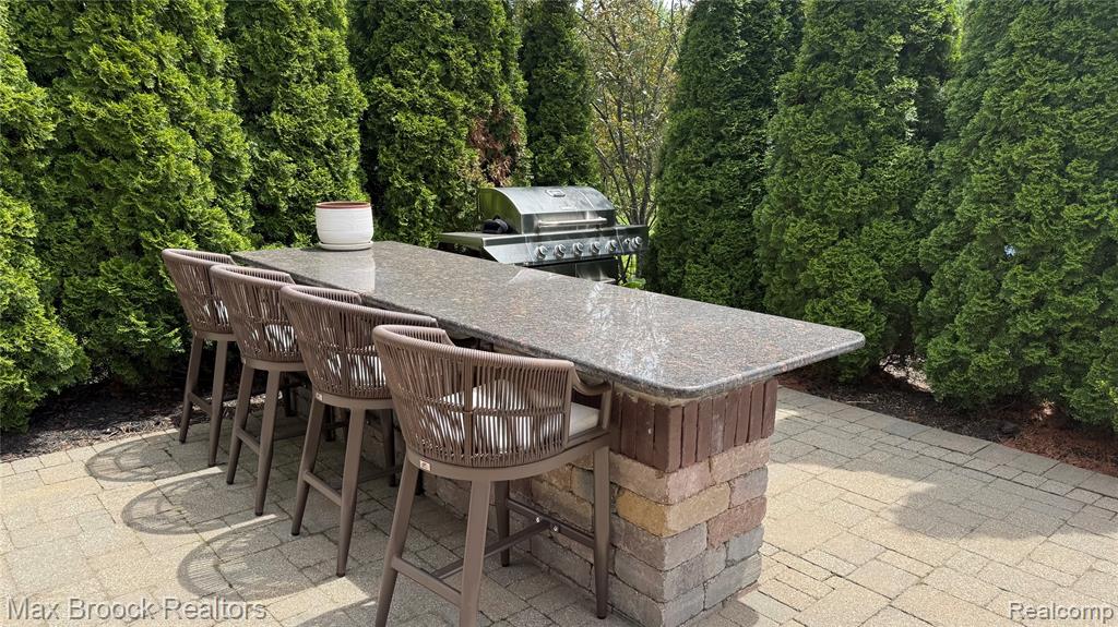 22462 Cyprus Drive, Northville, MI 48167 — Photo 6