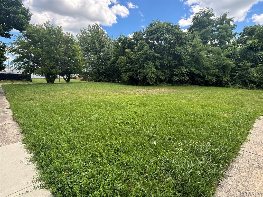 10510 Sterritt Street, Detroit, MI 48213 — Photo 22