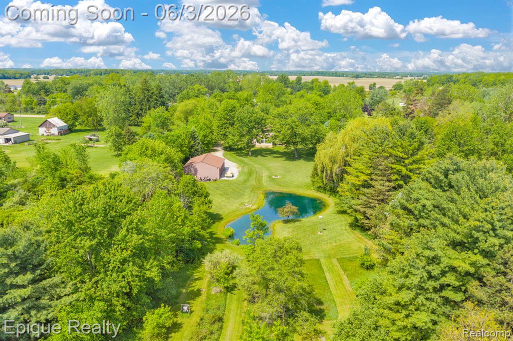7493 S Sheridan Avenue, Durand, MI 48429 — Photo 63