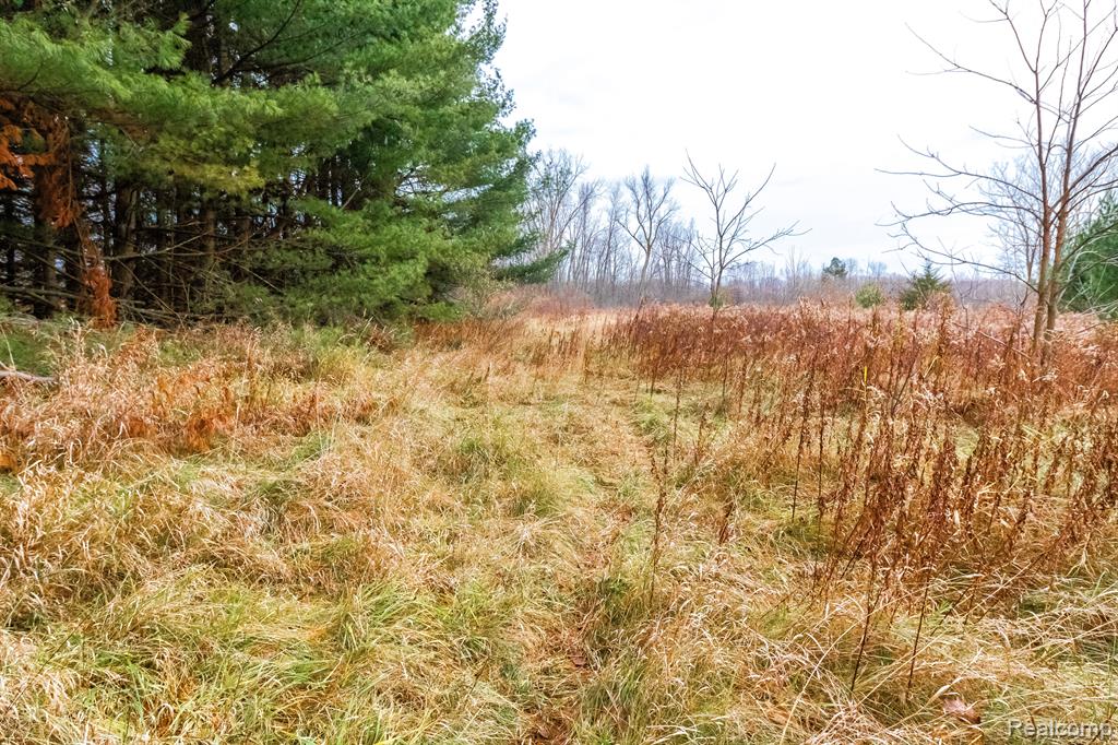 6152 OLD STATE Road, North Branch, MI 48461 — Photo 15