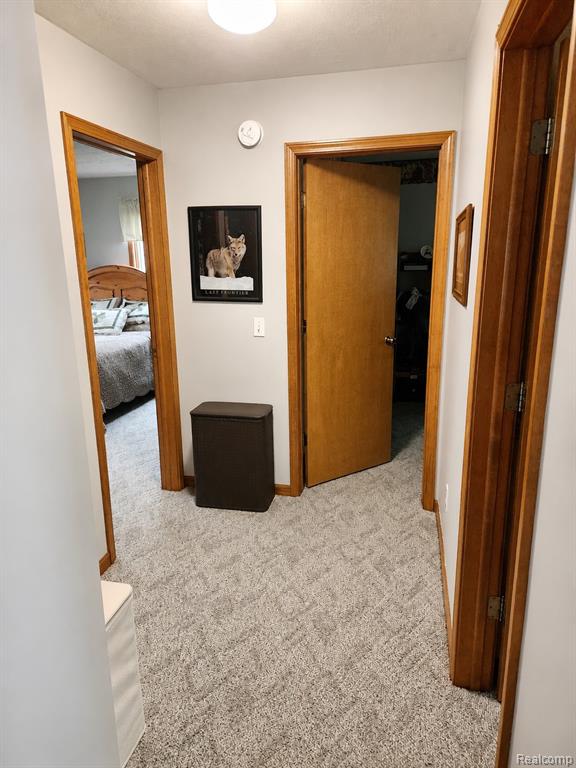 11183 Wolf Road, Johannesburg, MI 49751 — Photo 16