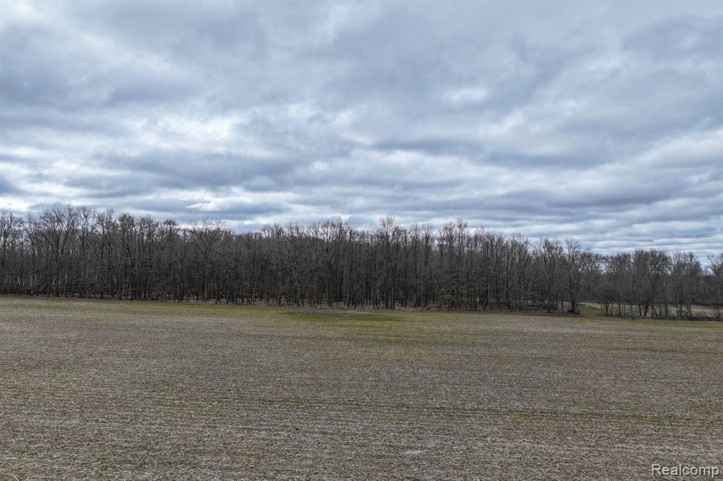 VL 52.5 Acres Goodall Road, Durand, MI 48429 — Photo 8