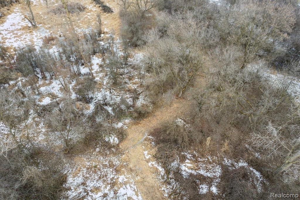 V/L BLAKE Road, Jackson, MI 49201 — Photo 35