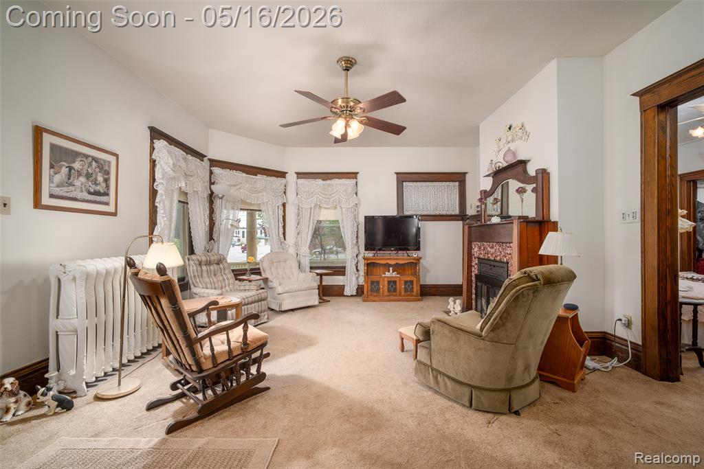 207 N Pine River Street, Ithaca, MI 48847 — Photo 5