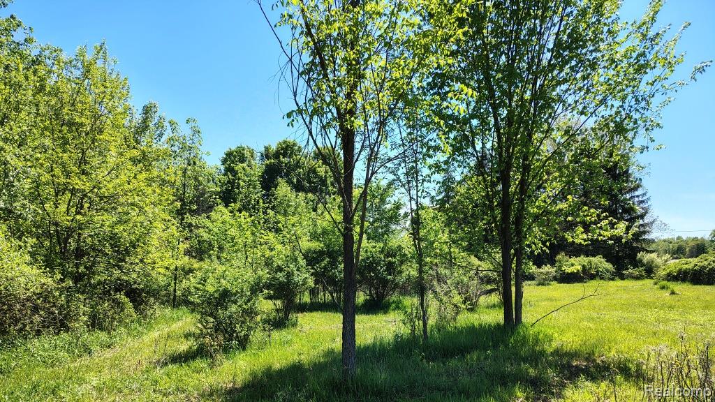 5600 Hemingway Lake Road, Otter Lake, MI 48464 — Photo 5