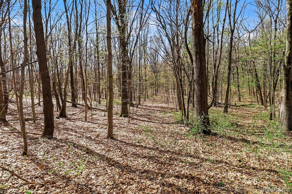 8815 Milford Road, Holly, MI 48442 — Photo 29