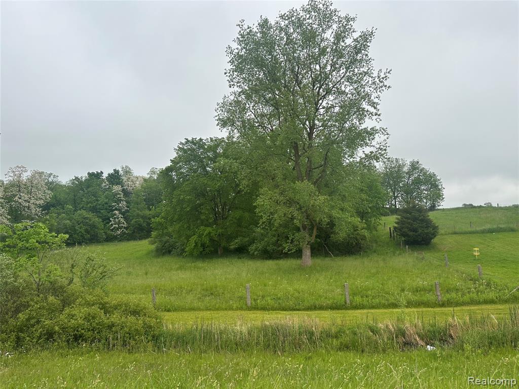 VL Mertz Road, Mayville Vlg, MI 48744 — Photo 11