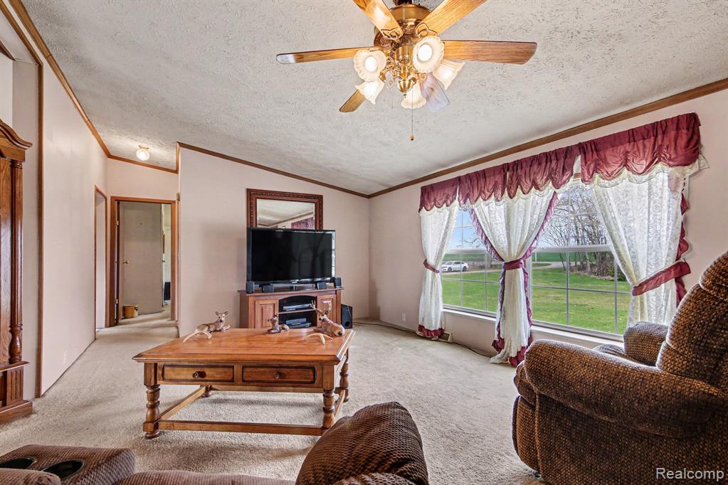 7689 Sidney Road, Greenville, MI 48838 — Photo 7