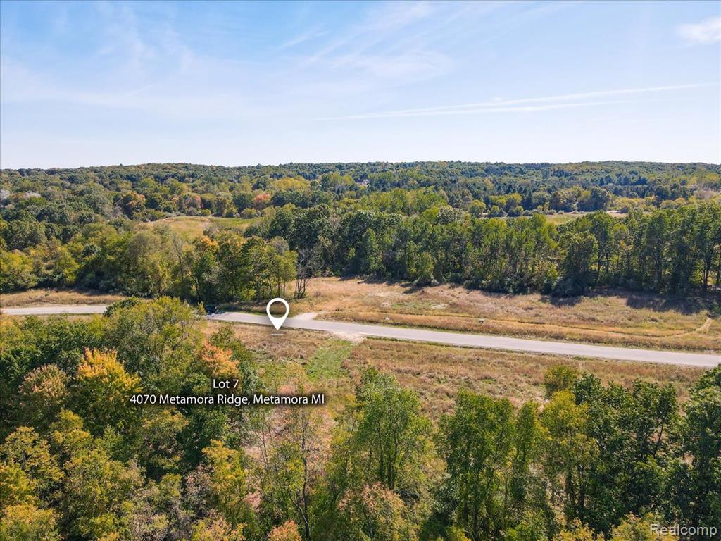 4070 Metamora Ridge, Metamora, MI 48455 — Photo 2