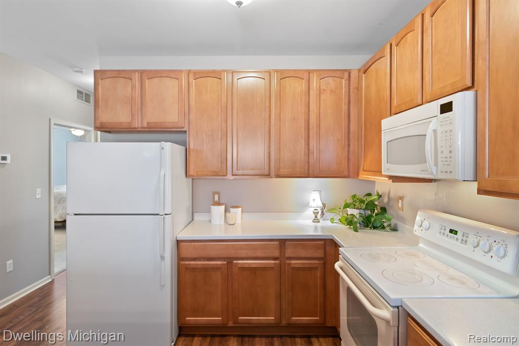 1105 FOUNTAIN VIEW Circle, South Lyon, MI 48178 — Photo 7